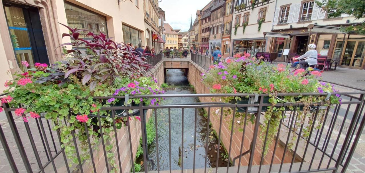 Le Green St Leon : Lit Queen Size * Wifi * Ideal Couple Colmar Dış mekan fotoğraf
