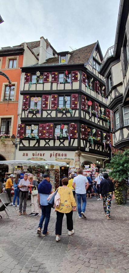 Le Green St Leon : Lit Queen Size * Wifi * Ideal Couple Colmar Dış mekan fotoğraf